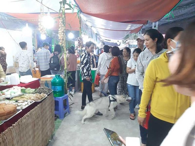 Chó thả rông ở Cần Thơ: Phường chỉ nhắc nhở là chính