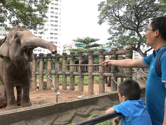 Những điều đáng sợ trong vườn thú