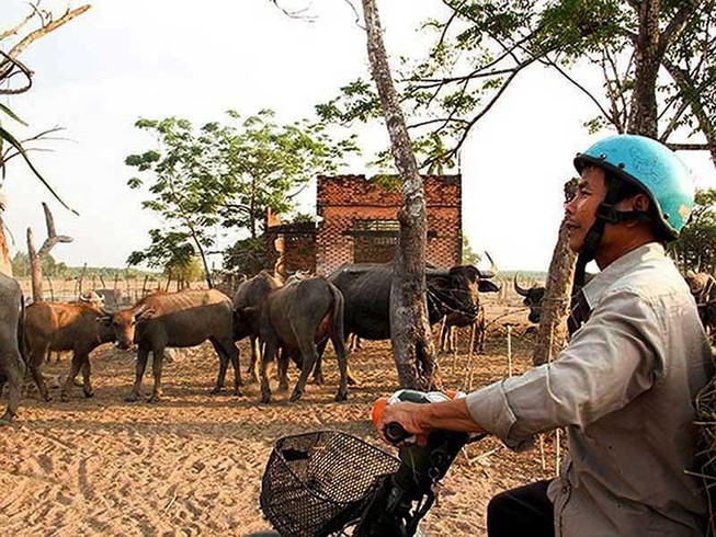Nhiều sai phạm tại dự án Công viên Sài Gòn Safari