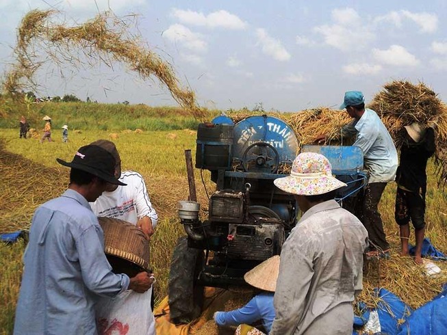 Trung Quốc siết tiêu chuẩn, hàng Việt lao đao