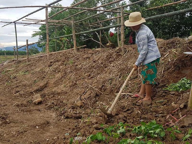 Đà Nẵng: Hơn 600 ha đất nông nghiệp bị ‘bức tử’