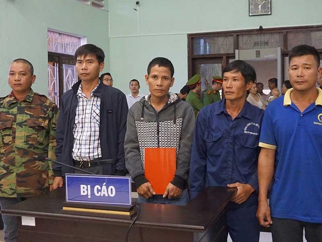 Vì sao chưa thể tuyên án vụ cưa gỗ khô?