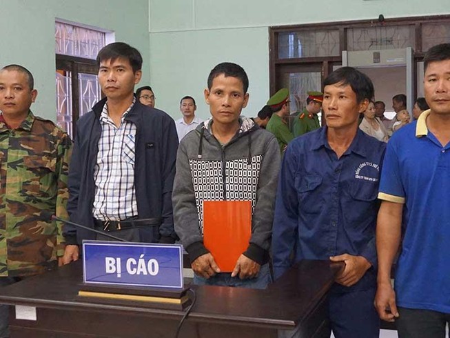 Khó hiểu tòa kết tội năm người cưa gỗ khô
