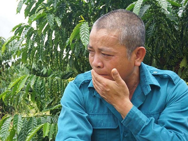 Vụ gỗ khô: Tòa lệnh bảy ngày nữa hai người phải đi tù