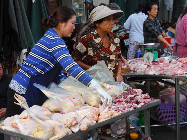 Giải cứu gà giá rẻ: Cách nào?