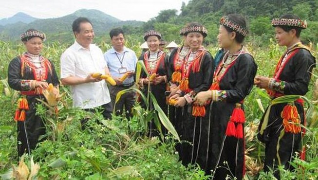 Năm 2025, thu nhập đồng bào dân tộc sẽ đạt 26-28 triệu/năm