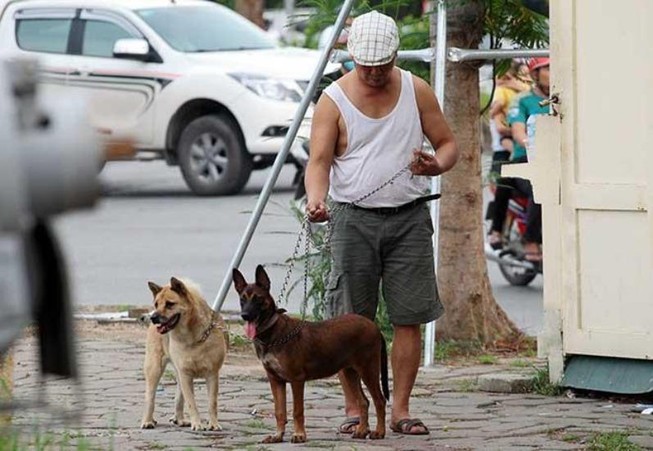 HẢI ĐĂNG