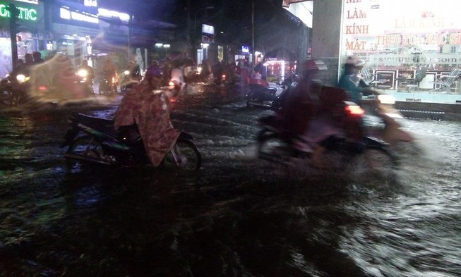 Nơi vừa giải cứu lại ngập tơi bời