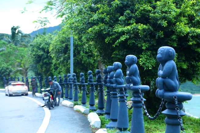 Voọc ở Sơn Trà còn bao nhiêu con?