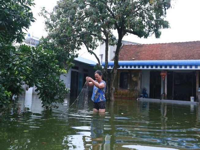 Thủ đô thành sông: Dân thả lưới sân nhà bắt cá