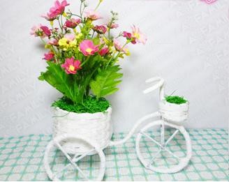 Người thầy không bao giờ nhận quà