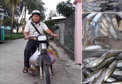 Sao cái nghề cao quý mà xã hội tôn vinh lại trở nên như thế này?