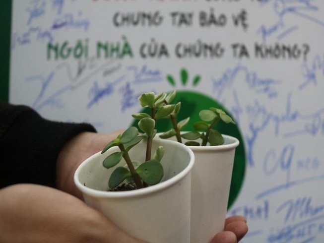 Nô nức rủ nhau mang sách cũ đổi lấy cây xanh
