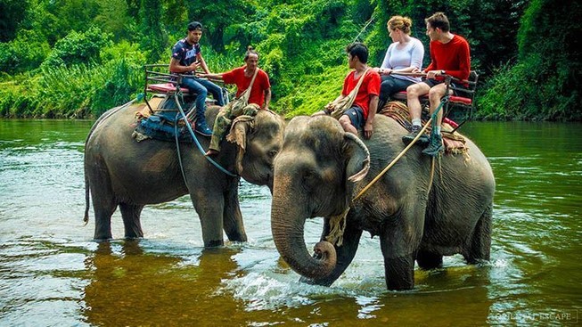 Chấm dứt du lịch cưỡi voi ở Yok Đôn