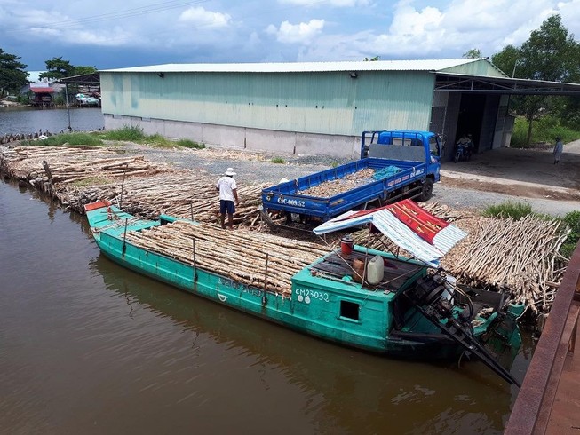 Trưởng phòng thanh tra PCTN Cà Mau bị bắt
