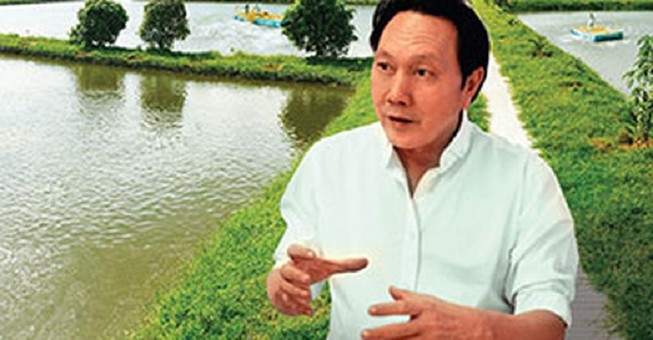 Vua cá tra Dương Ngọc Minh lỗ vì... nuôi heo công nghệ