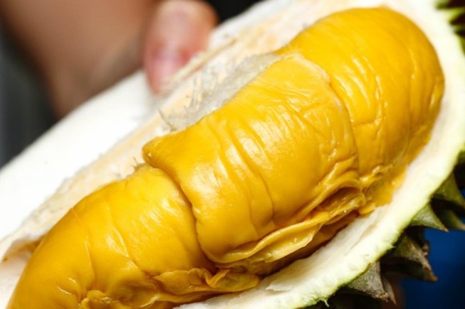Sầu riêng Musang King có nghĩa là "con mèo nằm ngủ", một giống sầu riêng nổi tiếng của Malaysia. Ảnh: SCMP