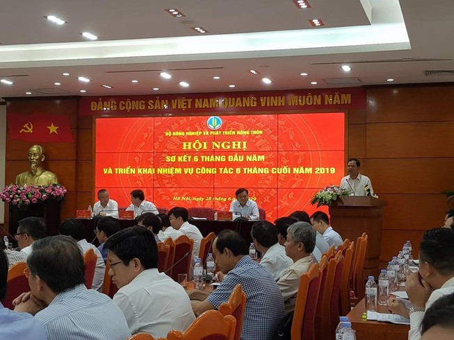 Dịch tả châu Phi làm suy giảm kinh tế ngành nông nghiệp