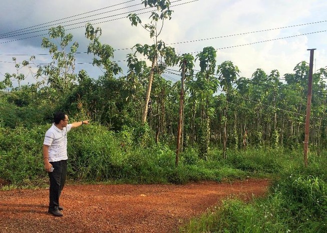 Cấp đất sai cho cựu thường vụ tỉnh, 9 người bị kỷ luật