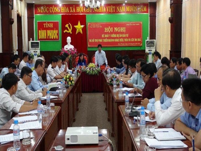 Bình Phước: Đề xuất ý tưởng phát triển cây chủ lực