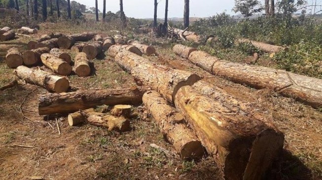Bắt thêm người trong vụ chủ tịch xã nhận tiền ‘bảo kê’