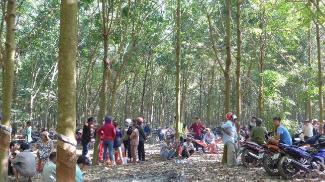 Nhóm thanh niên chích điện, cắt tai con nợ