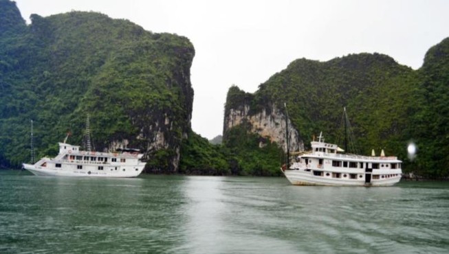 Bão số 4: Quảng Ninh cấm tàu nghỉ đêm xuất bến