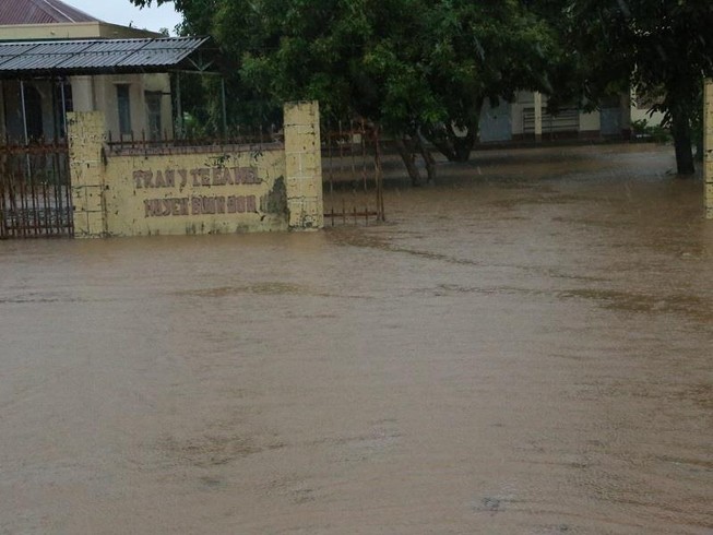 Đắk Lắk, Lâm Đồng: Hoa màu chìm trong biển nước