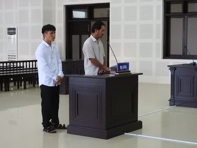 Lãnh án tù vì... trộm cây sứ về chưng Tết