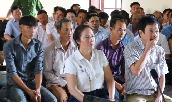 Bị truy tố tội hủy hoại rừng, cặp vợ chồng kêu oan