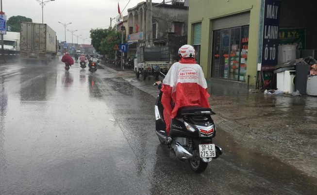Bắc Nghệ An có 'mưa vàng', rừng Hà Tĩnh vẫn chờ...