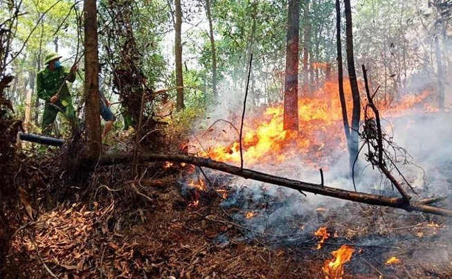 Lại cháy rừng nhiều giờ ở Hà Tĩnh