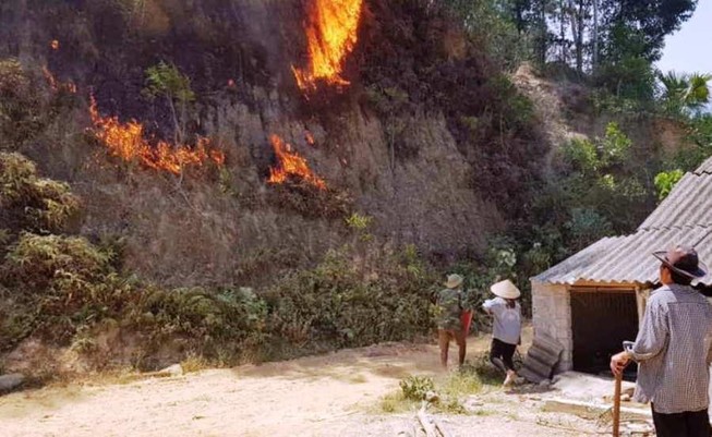 Khởi tố người phụ nữ đốt cỏ gây cháy rừng ở Hà Tĩnh