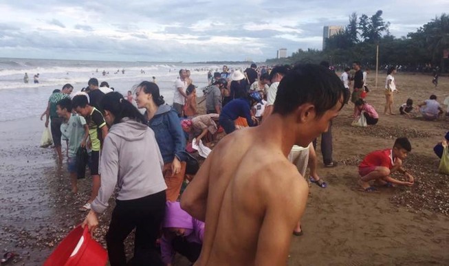 Người dân ào ra bãi biển vớt 'lộc trời' sau bão số 4