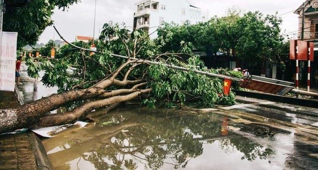 Gió lốc cuốn nhiều mái nhà, làm cây gãy ách tắc quốc lộ 7A