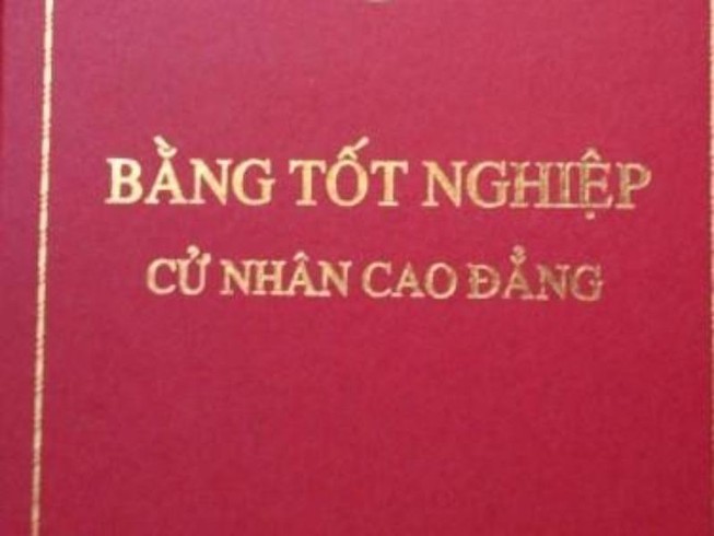 TTCP đang xử lý 1 vụ trưởng khai bằng cao đẳng thành đại học