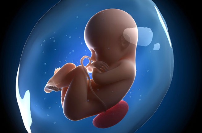 Phát hiện 'con' nằm trong bụng mẹ 36 năm