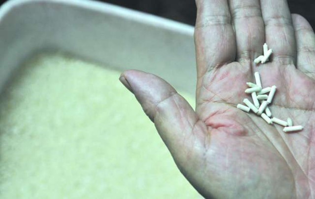 Sau gạo nhựa, phát hiện gạo giấy tại Trung Quốc