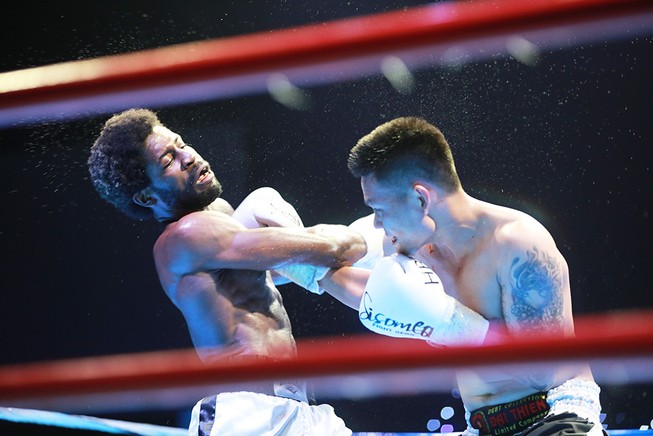 HBF 01 chắp cánh ước mơ boxing Việt Nam