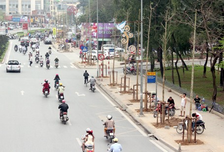 Hà Nội: Họp báo trồng cây xanh mới trên phố Nguyễn Chí Thanh