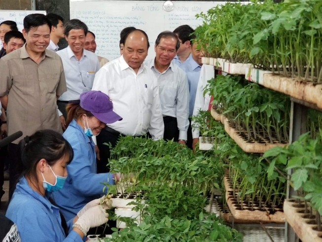 Nông nghiệp manh mún, phụ thuộc nhiều vào thời tiết