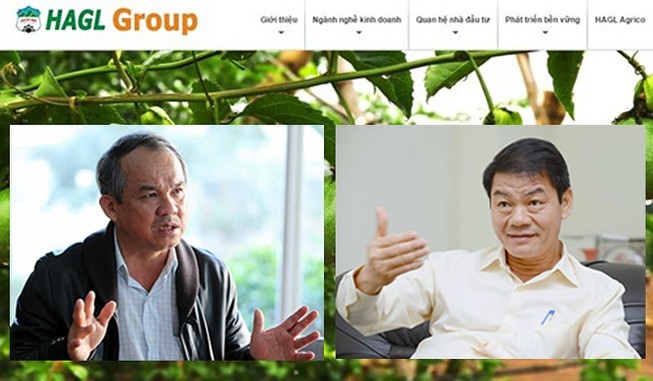 Bầu Đức trồng thêm gần 6000ha chuối, ớt sau khi Thaco bơm tiền