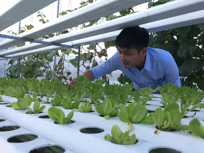 Vườn rau thủy canh Cantho Farm (phường Long Hòa, quận Bình Thủy, TP.Cần Thơ)