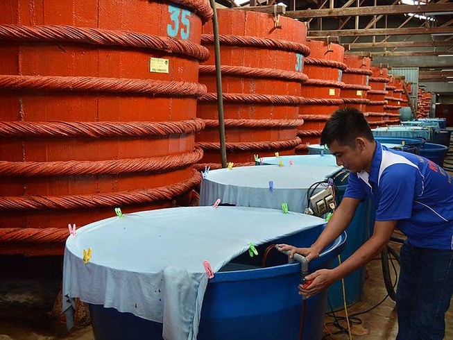 Thông tin mới nhất vụ nước mắm truyền thống cầu cứu Chính phủ