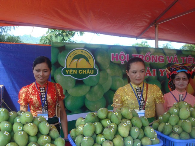 Sơn La xuất khẩu lô xoài đầu tiên sang Mỹ năm 2019
