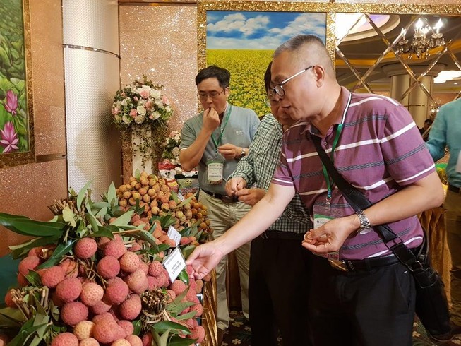Các đại biểu quốc tế nếm thứ đặc sản vải thiều của Việt Nam. Ảnh: Mai Hiền
