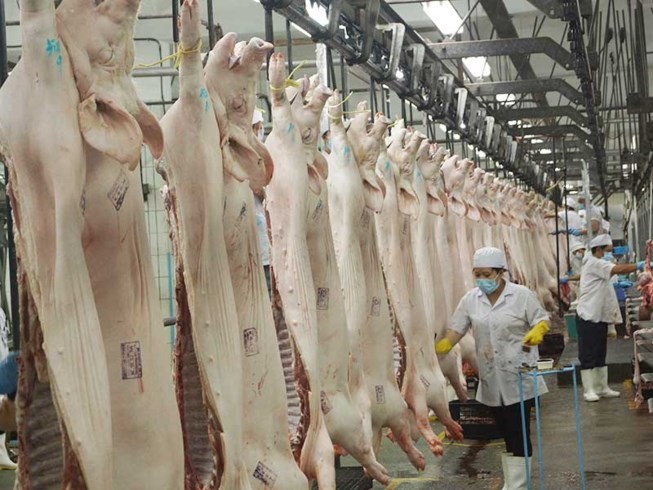 Tướng công an, quân đội… ủng hộ giải cứu thịt heo