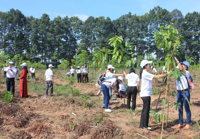 Vedan đồng hành tuần lễ Đồng Nai Xanh 2018