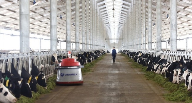 Vinamilk giới thiệu sữa tươi 100% A2 đầu tiên tại Việt Nam