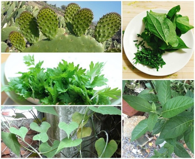 5 bài thuốc chữa thoái hóa cột sống lưng